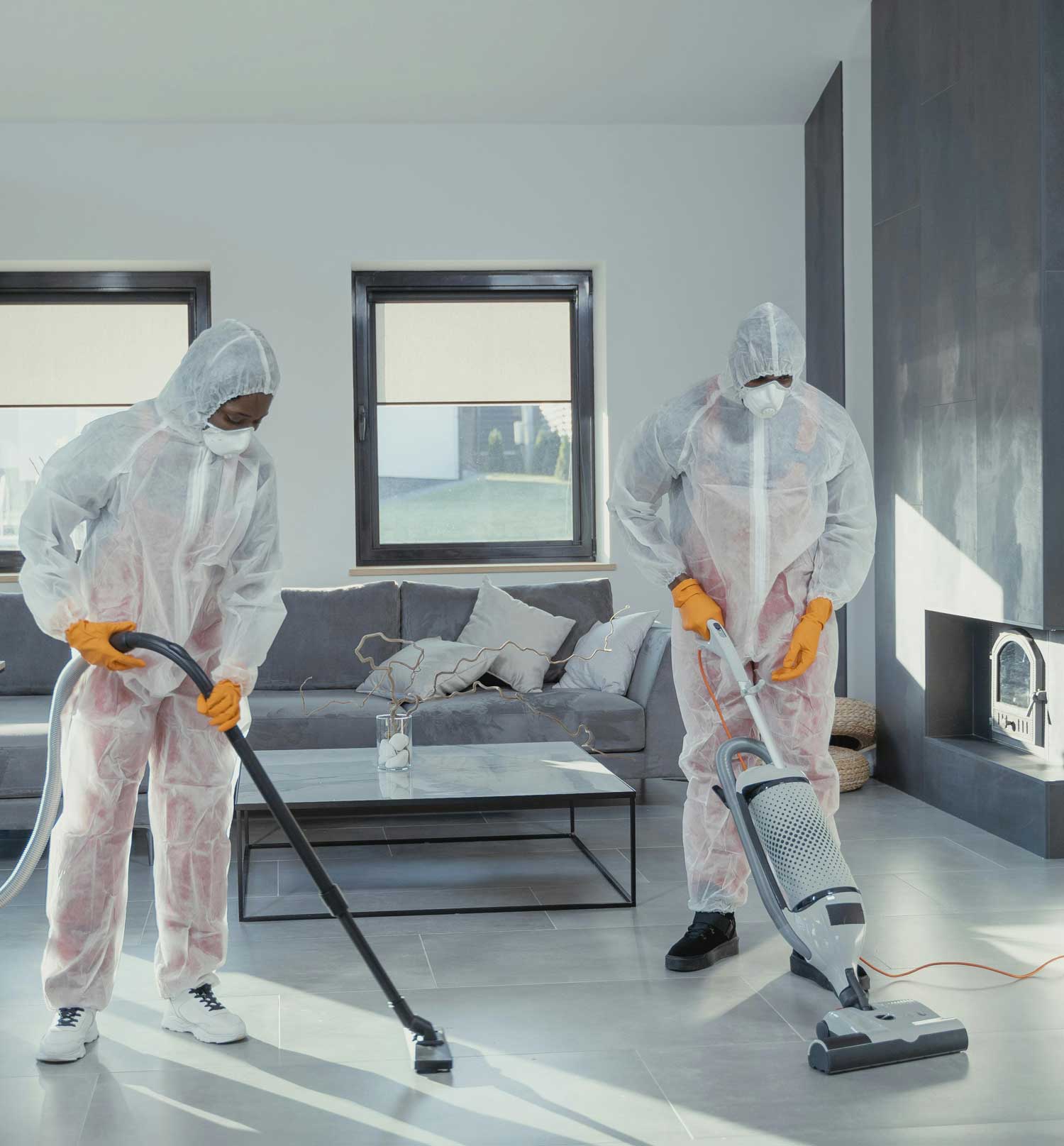 Professional cleaning team at work